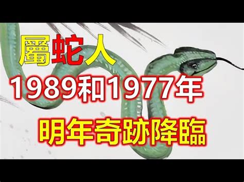 1989年 五行